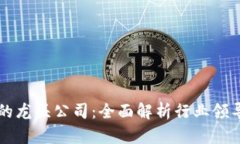 区块链数字平台的龙头公司：全面解析行业领导